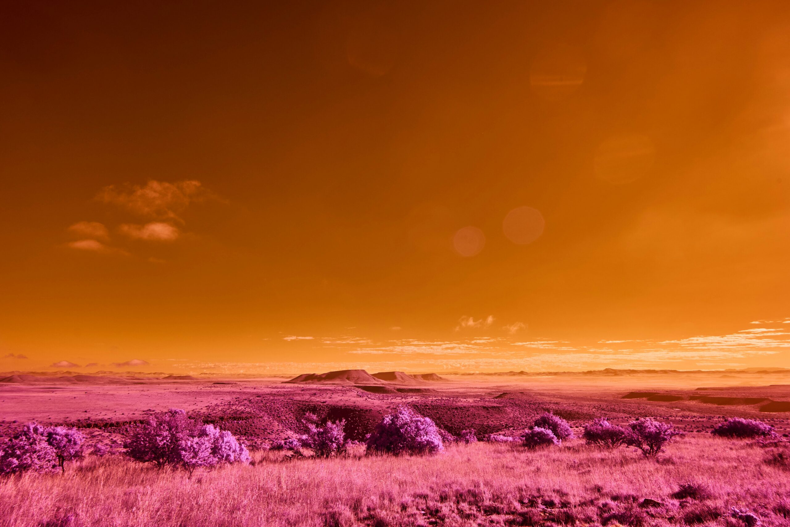 wolfgang-hasselmann-4oWJo3N86os-unsplash